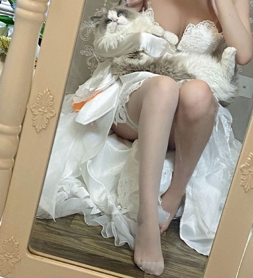 以爱为营电视剧36集免费观看